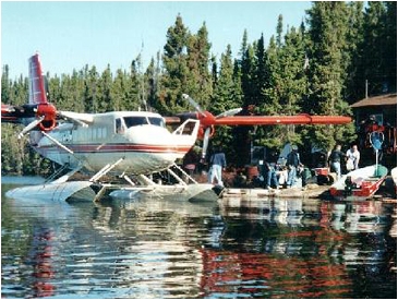 Grey Owl Camp
