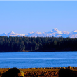 Coastal Mountain View