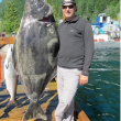 Gigantic Halibut