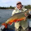 Provincial Record Brook Trout