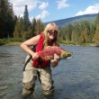 Bull Trout